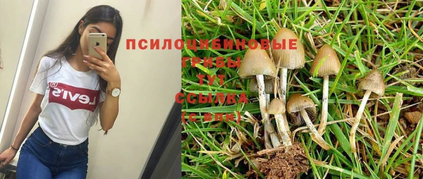 mdpv Арсеньев